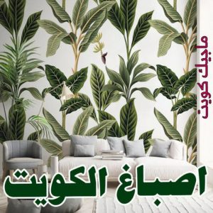 صباغ رخيص - صباغ الكويت - ابوعبدالله📞65700179 - صباغ هندي - صباغ شاطر - اصباغ - صباغ الكويت انستقرام - صباغ منازل - رقم صباغ - رقم صباغ رخيص 5 اصباغ الكويت