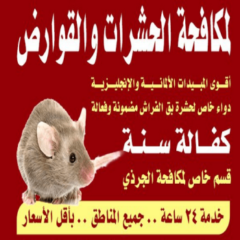 مكافحة قوارض - مكافحة حشرات وقوارض - شركة تنظيف بالكويت📞66991461 - شركة حشرات - مكافحة حشرات - شركة مكافحة حشرات - مكافحة بق - مكافحة حشرات الكويت